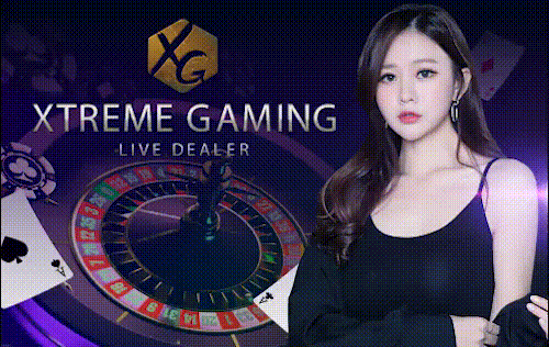 MAX169BET-XTREME GAMING